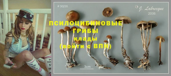 jwh Михайловка