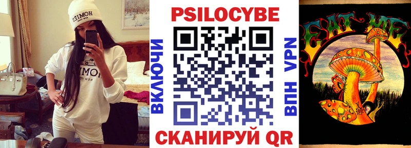 Галлюциногенные грибы Psilocybine cubensis  Тогучин 
